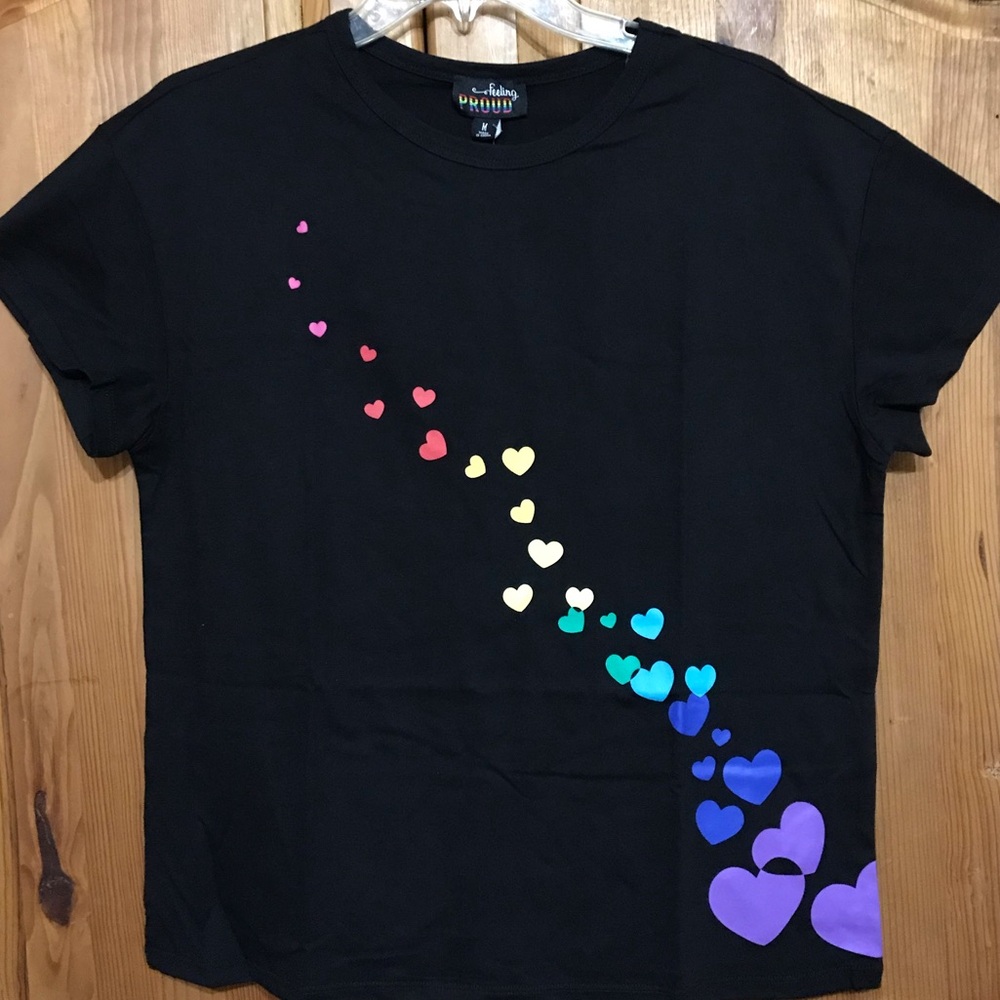 Rainbow Hearts Pride Ladies Sz (M,L,XXL)
Black Shirt w/colorful heart graphics